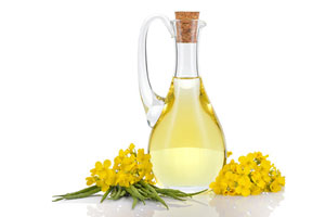 canola oil