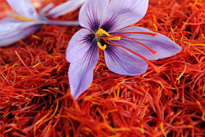 saffron